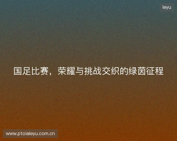 国足比赛,荣耀与挑战交织的绿茵征程 国足比赛,荣耀与挑战交织的绿茵征程